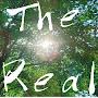 @TheRealTheRealTheReal