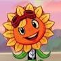 Sunflower YAOW
