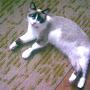 @user-rn4lz1ui9n