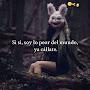 @MauricioYaddiel