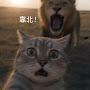 @我日你妈B毛