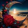@fiqiretekaraj9727