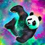 @Kungfu-h8l
