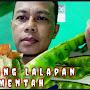@mukbangndeso6195
