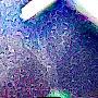 @dondeilstanleon4162
