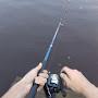@fishinger468