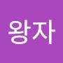 @별똥왕자