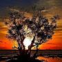@chantalcomeau1544
