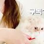 @셀베리