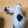 @yongsankim2756