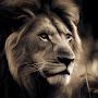 @GarySmith-li9hj