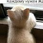 @Андрей-з9у8л