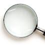 @rodneyscholtz8849