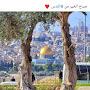 @عبدالرحمنحلمى-ح6و