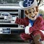 PSYCHO COWBOYS FAN