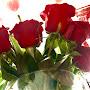 @floras9203