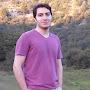 @hamedzarei206