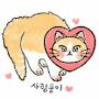 @쒄샤인