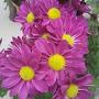 @jayakodiramanathan9928