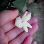 @mihie.9687