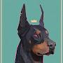 Doberman