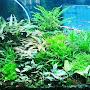 @aquapizishk