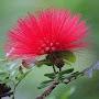 @jaspalsinghrolay1838