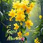 @Visan321