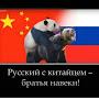 @нелегитимныйпрэзидэнт