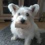 @davidtofield9901
