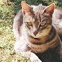 @hashimhashim-ze1qo