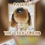 @PascalTheWierdo