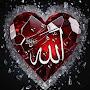 @imransaifi7844