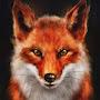 Red Fox