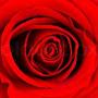 @ayesha2176