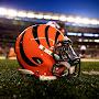 @letsroar6349