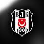 @bjk239