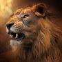 @predatorius-g7i
