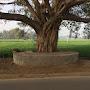 @priyoduttsharma4533