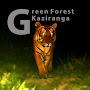 Green Forest Kaziranga