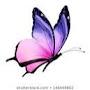 ButterflyJ
