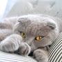 @Charlito2016Mascha