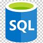 @sqllearner4783