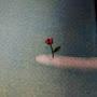 @rodemtree-g9m