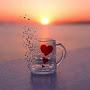 @suhaibsalahat2468