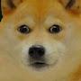 @LordFenian