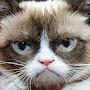 @webdevguy_
