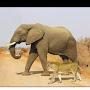 @jagadheesanps6403