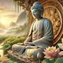 @nguyenbaonguyen0812