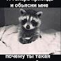 @Ostri91